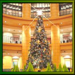 �V���E�N����̑����Ă����N���X�}�X�E�c���[�B�A���K�g�E�I�I