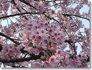 ���̎��̉��ɂāA�A�A